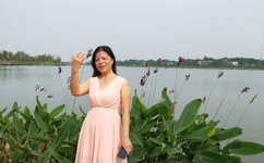 西藏秘密分集剧情